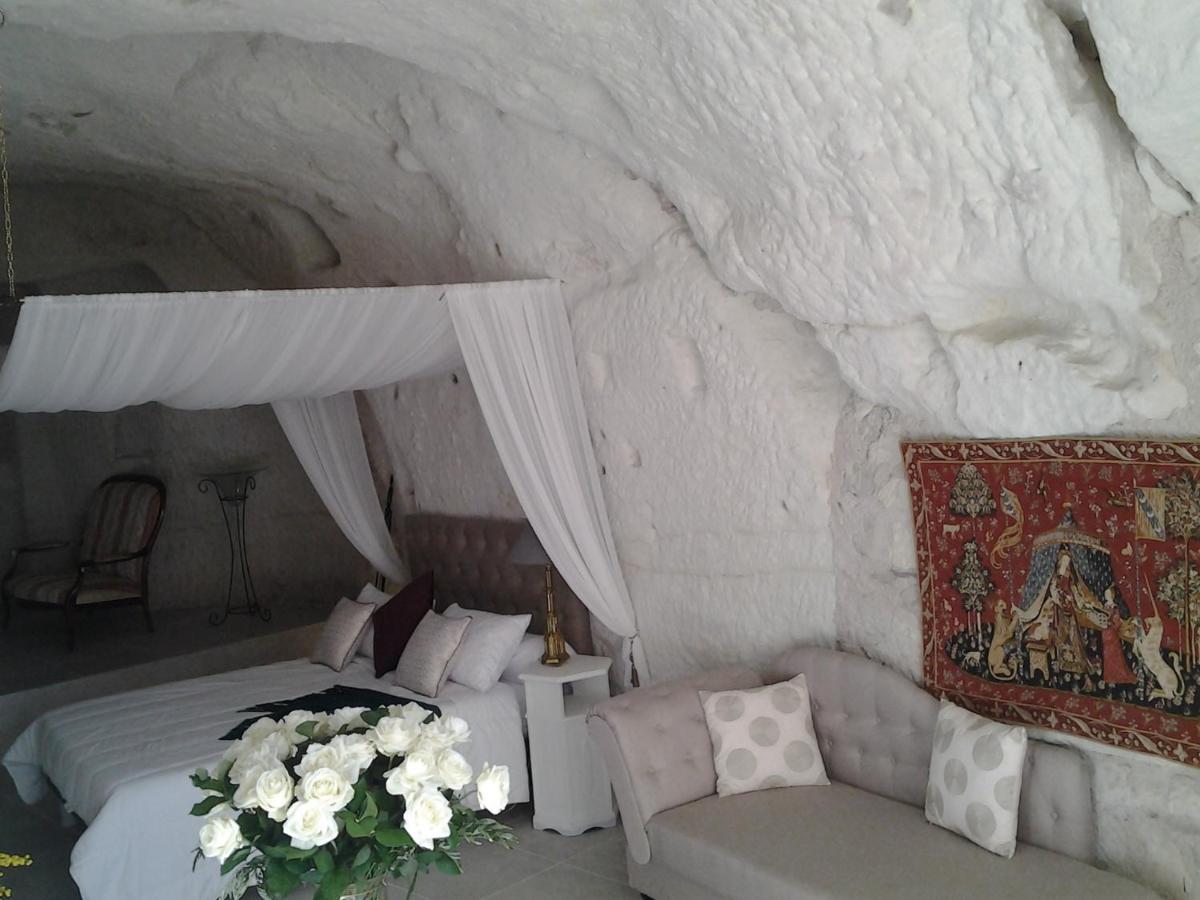 Le Manoir Des Roches Bed & Breakfast Bourré Eksteriør bilde