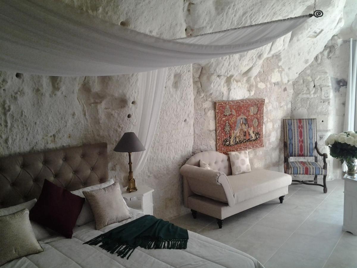 Le Manoir Des Roches Bed & Breakfast Bourré Eksteriør bilde