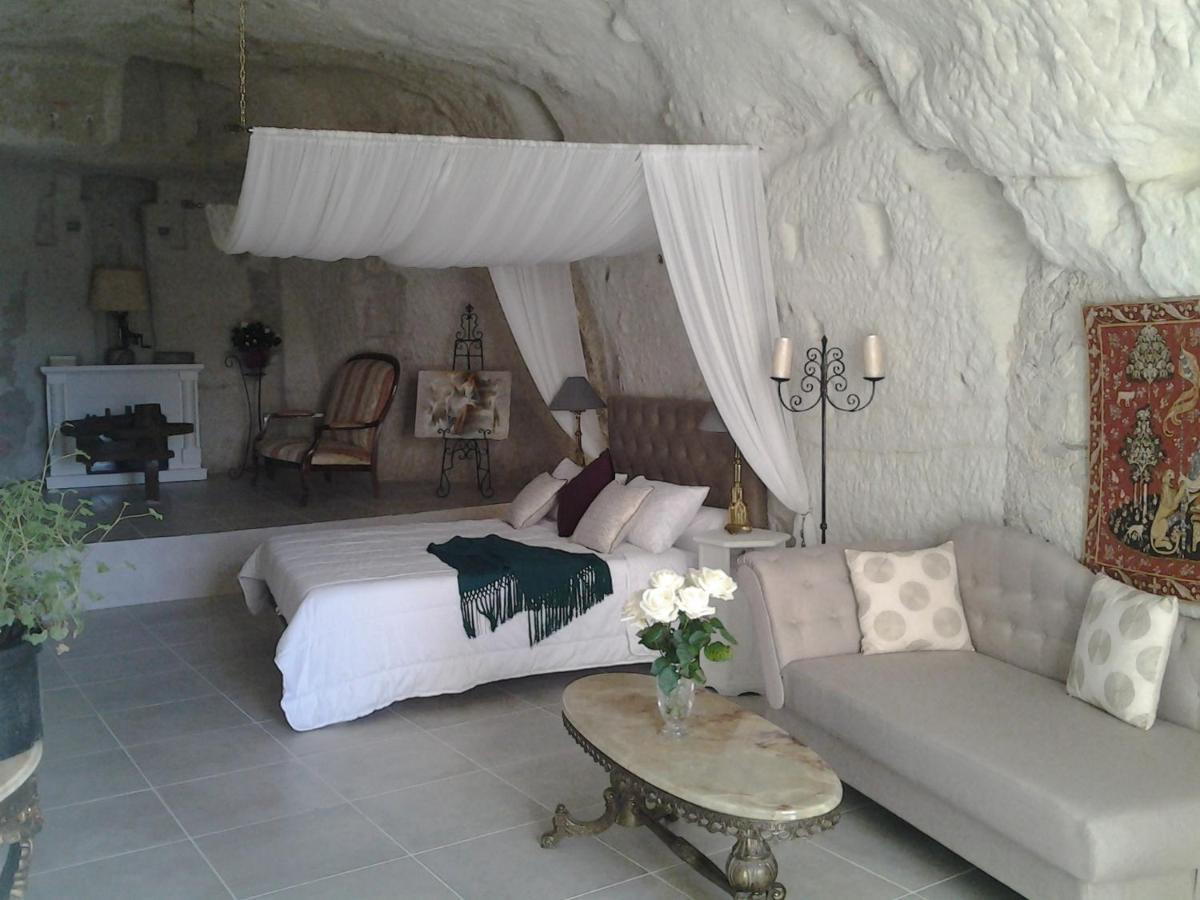 Le Manoir Des Roches Bed & Breakfast Bourré Eksteriør bilde