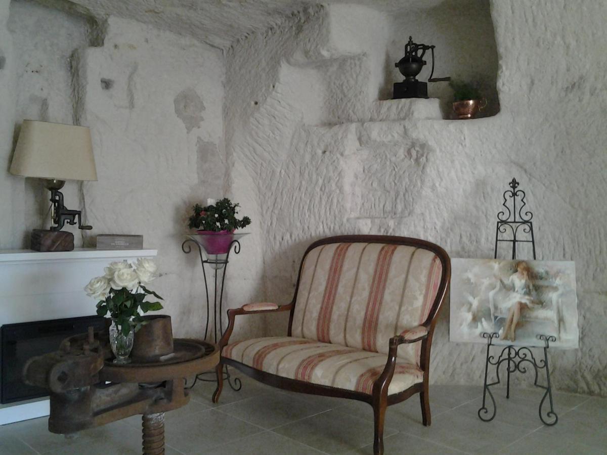 Le Manoir Des Roches Bed & Breakfast Bourré Eksteriør bilde