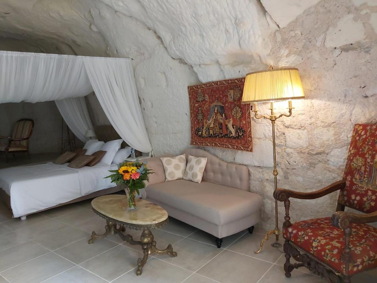 Le Manoir Des Roches Bed & Breakfast Bourré Eksteriør bilde