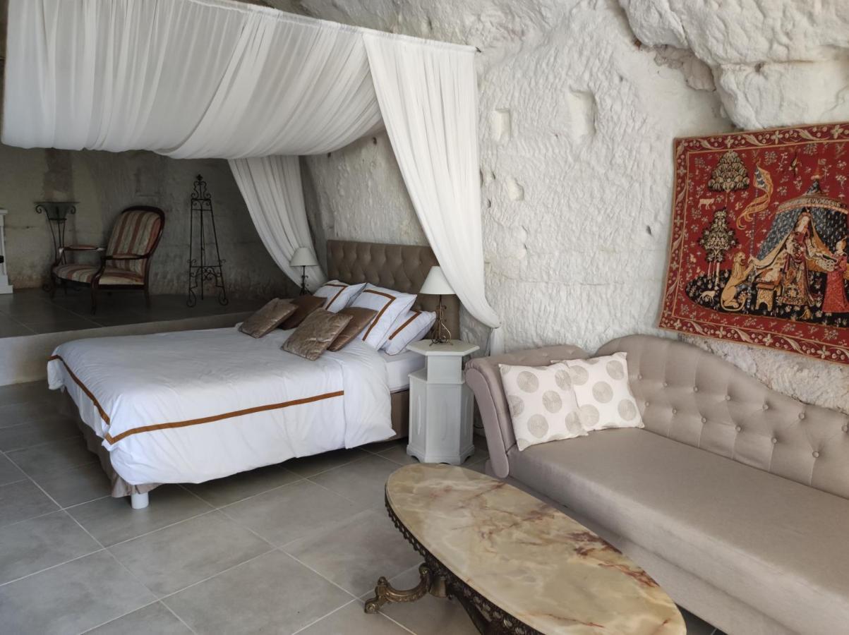 Le Manoir Des Roches Bed & Breakfast Bourré Eksteriør bilde