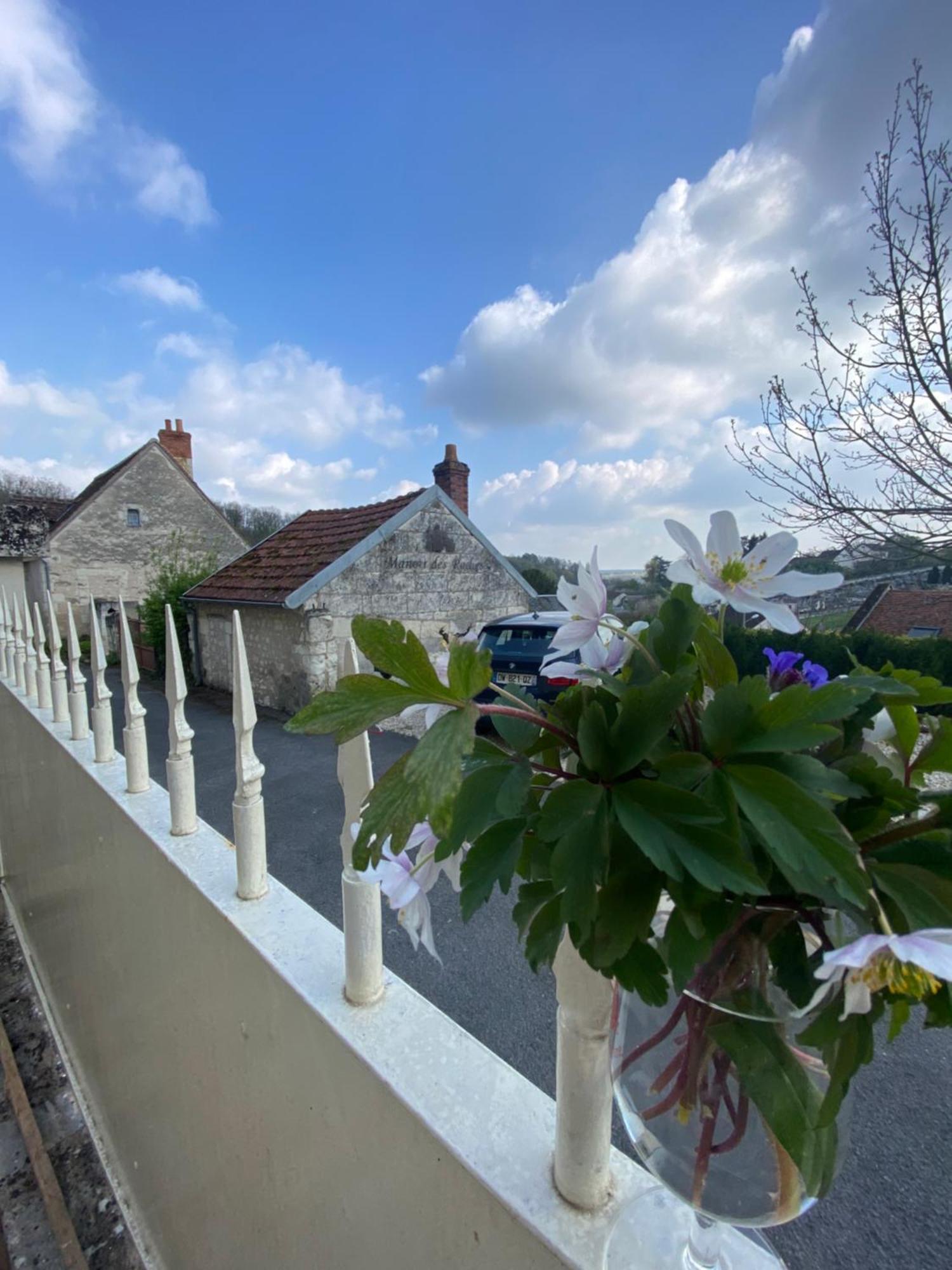 Le Manoir Des Roches Bed & Breakfast Bourré Eksteriør bilde