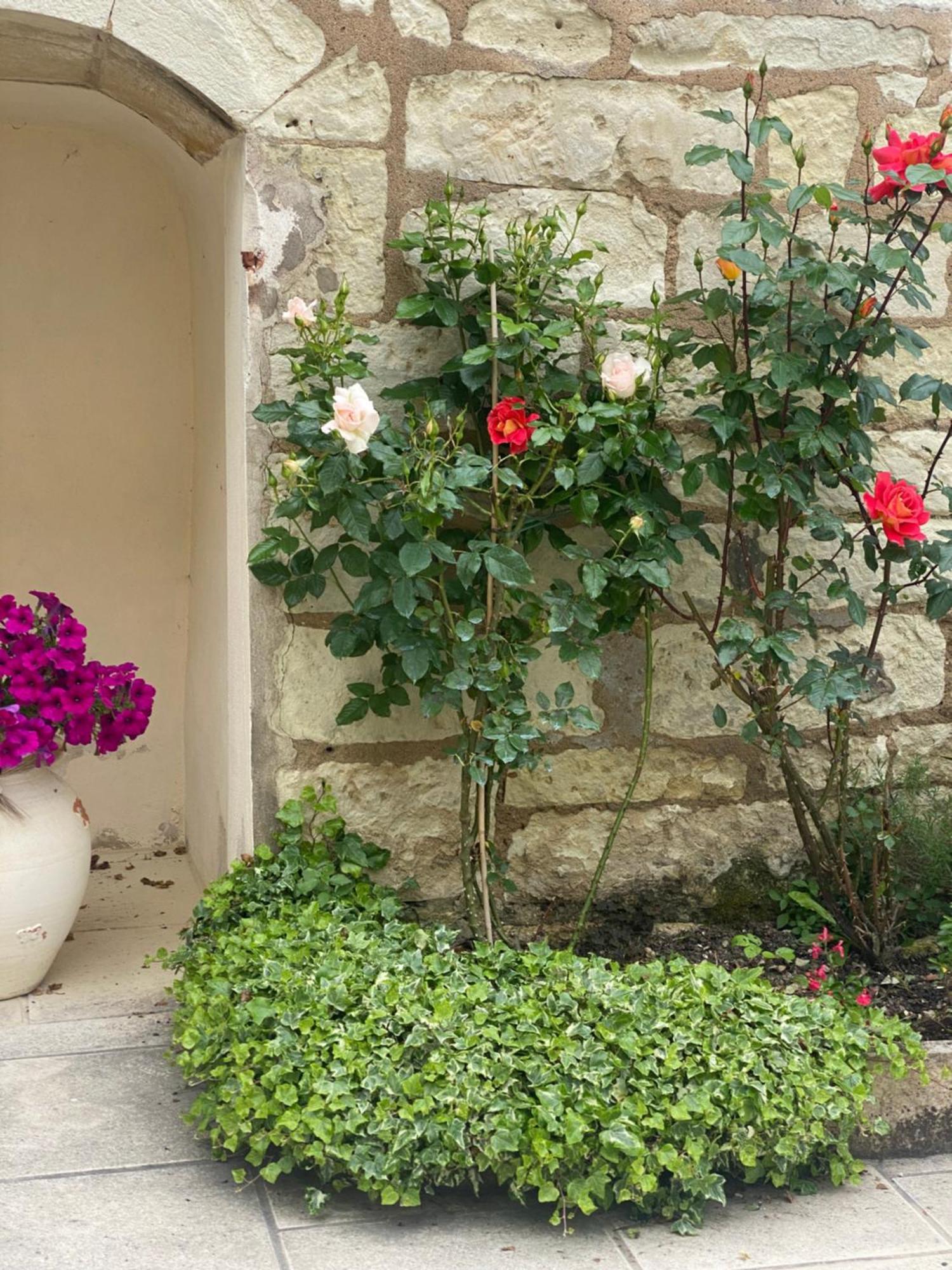 Le Manoir Des Roches Bed & Breakfast Bourré Eksteriør bilde
