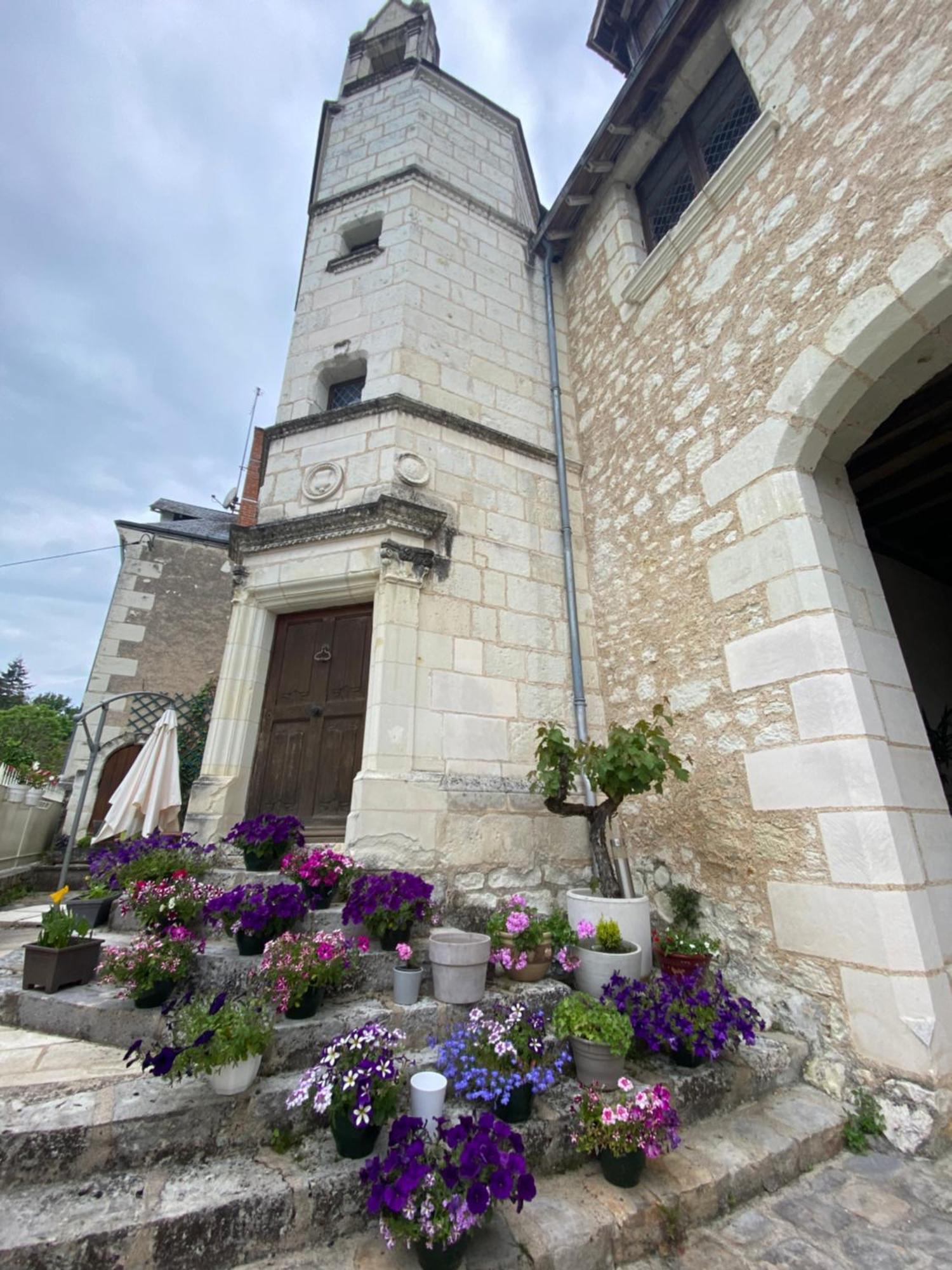 Le Manoir Des Roches Bed & Breakfast Bourré Eksteriør bilde